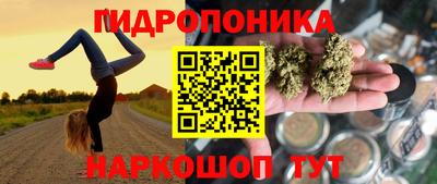 спиды Донской