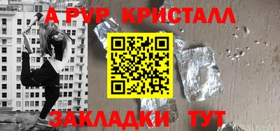 спиды Донской