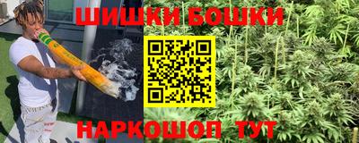 спиды Донской
