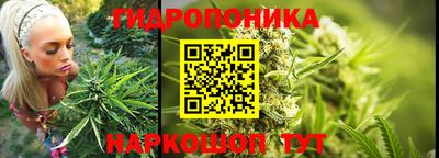 PSILOCYBIN Дубна
