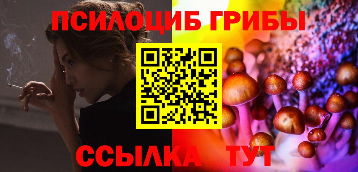 Ковров  дарнет шоп  Вход с VPN  Псилоцибиновые грибы мицелий 