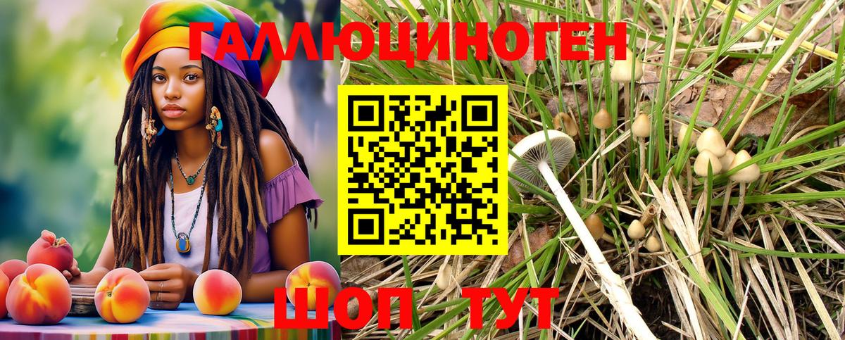 Галлюциногенные грибы MAGIC MUSHROOMS  Ковров  Псилоцибиновые грибы GOLDEN TEACHER 