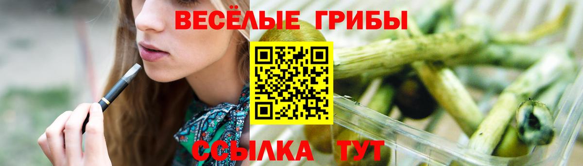 Псилоцибиновые грибы Psilocybine cubensis Ковров